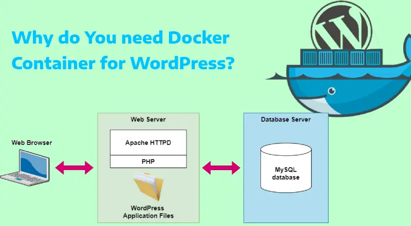 Installing Docker Container for WordPress: Completely Solutions 2025