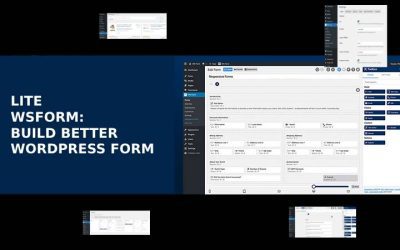 How to Use WordPress Forms Lite on Website: Easily Instructions