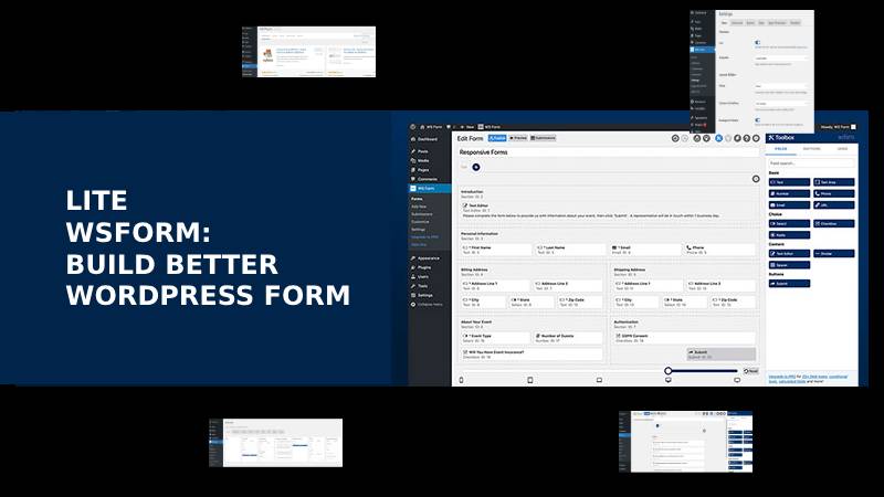 How to Use WordPress Forms Lite on Website: Easily Instructions