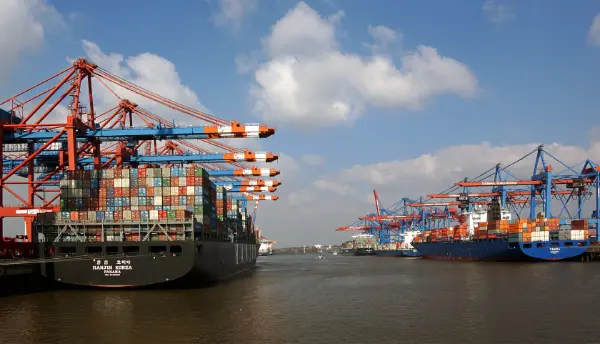 Logisty cargo logistics layout 
